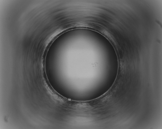 X0000103461133200809121557