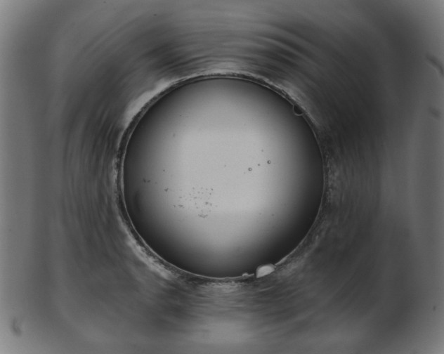 X0000103461134200809121557