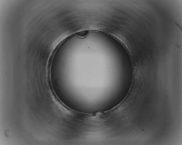 X0000103461135200809121557