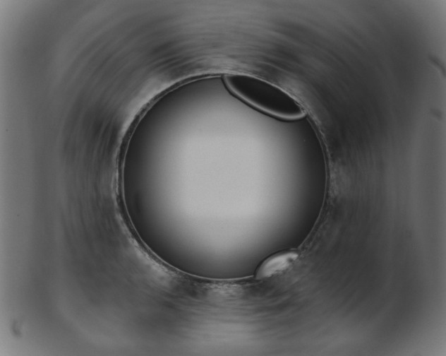 X0000103461136200809121557