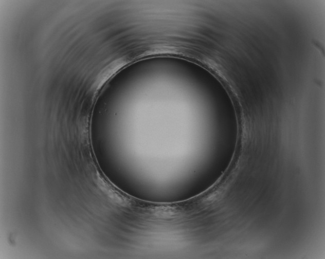 X0000103461137200809121557
