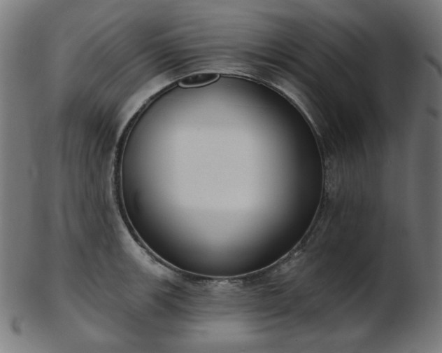 X0000103461139200809121557
