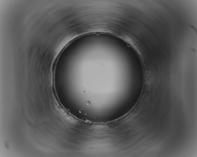 X0000103461140200809121557