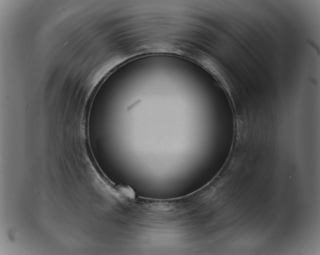 X0000103461141200809121557
