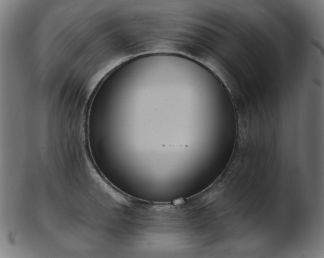 X0000103461142200809121557