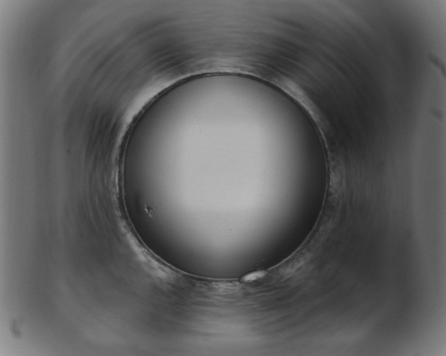 X0000103461144200809121557