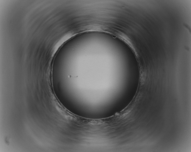 X0000103461146200809121557