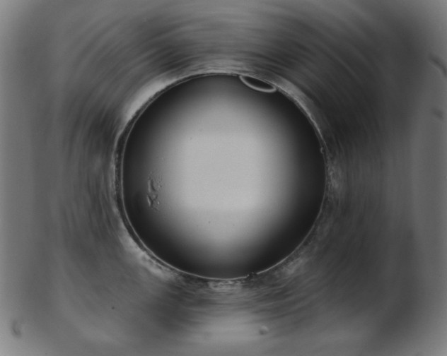 X0000103461147200809121557