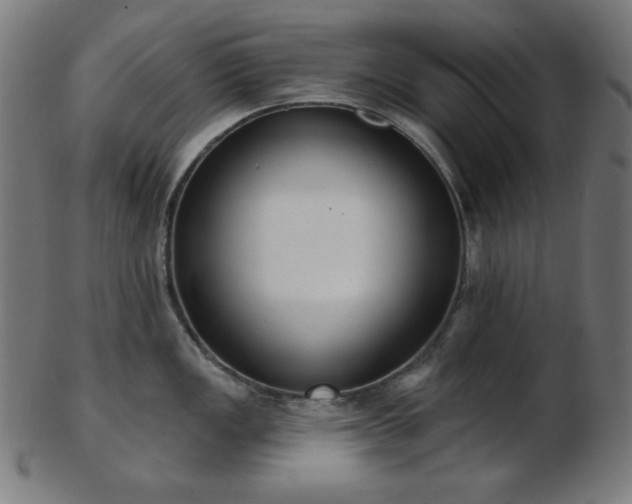 X0000103461149200809121557