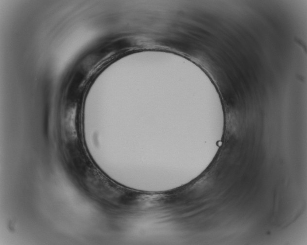 X0000103461150200809121557