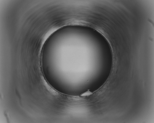 X0000103461152200809121557