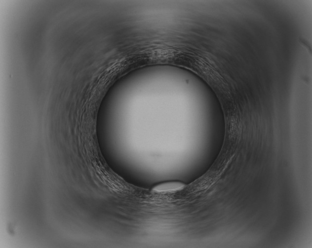 X0000103461153200809121557