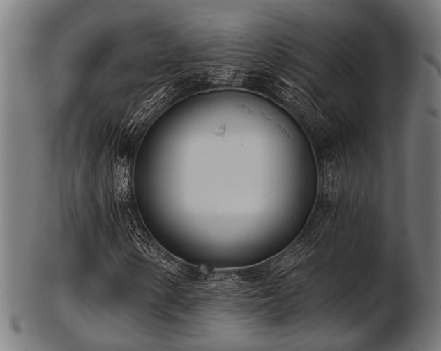 X0000103461154200809121557