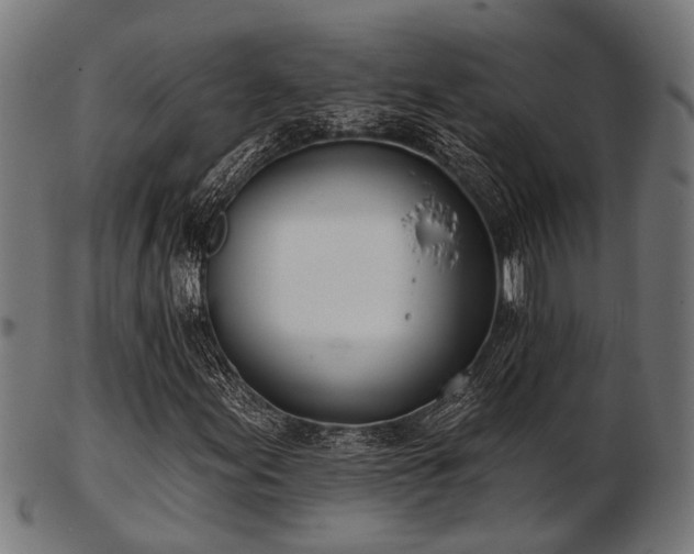 X0000103461155200809121557