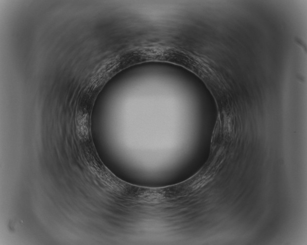 X0000103461156200809121557