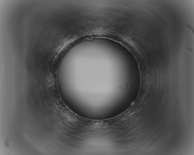 X0000103461160200809121557