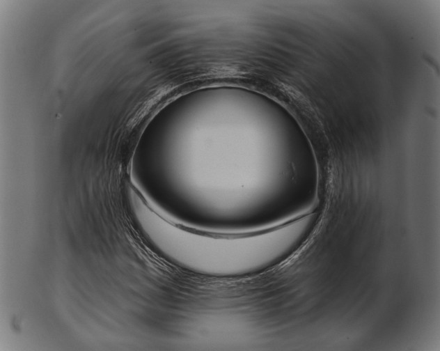 X0000103461161200809121557