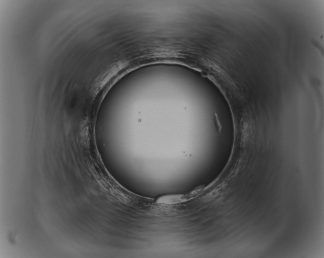 X0000103461162200809121557