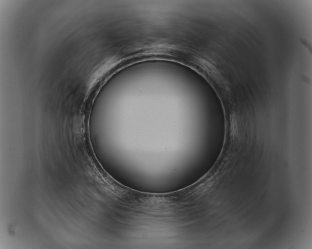 X0000103461164200809121557