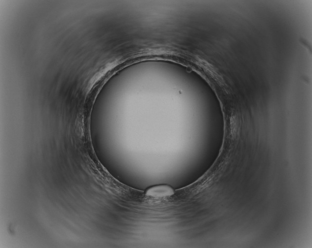 X0000103461165200809121557