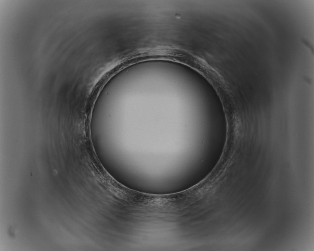 X0000103461166200809121557