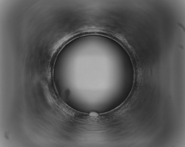 X0000103461167200809121557
