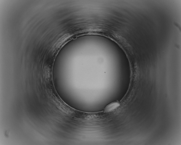 X0000103461169200809121557