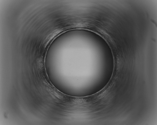 X0000103461170200809121557