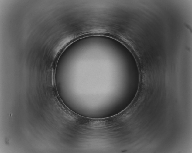 X0000103461171200809121556