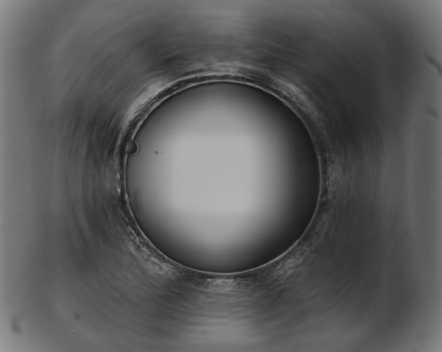 X0000103461172200809121556
