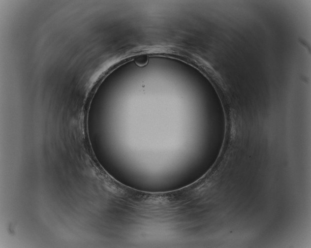 X0000103461174200809121556