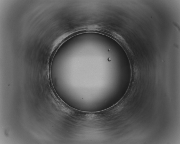 X0000103461176200809121556