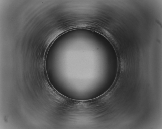 X0000103461178200809121556