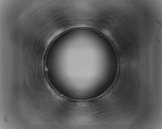 X0000103461181200809121556