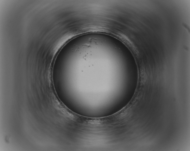 X0000103461182200809121556