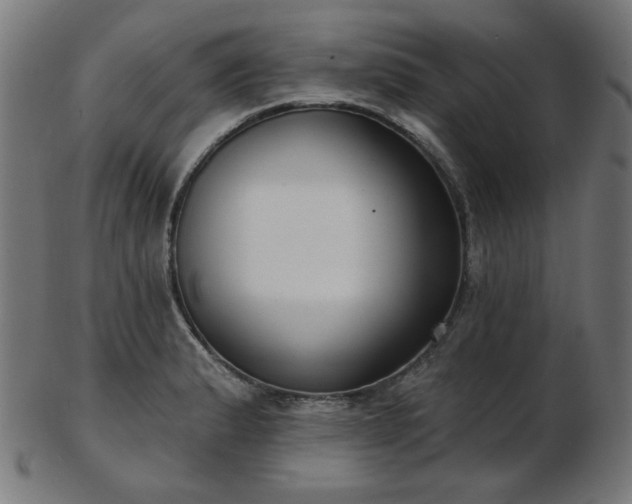 X0000103461183200809121556