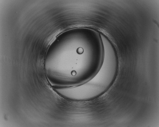 X0000103461185200809121556