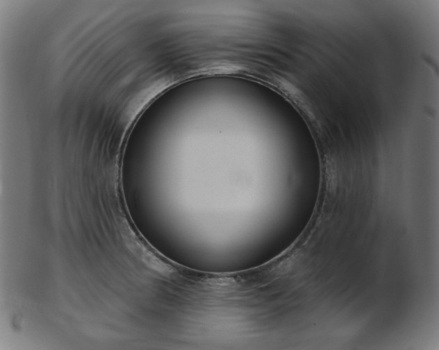 X0000103461186200809121556
