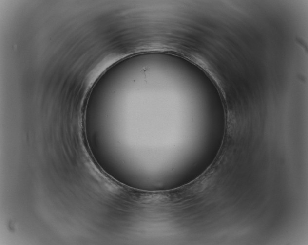 X0000103461187200809121556