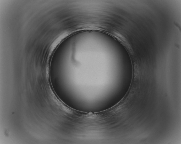 X0000103461188200809121556