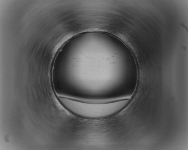 X0000103461189200809121556