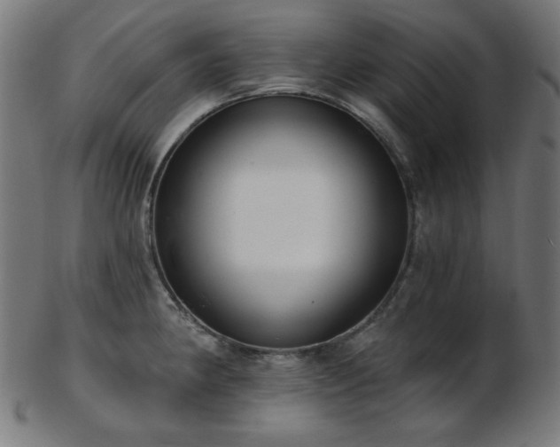 X0000103461190200809121556