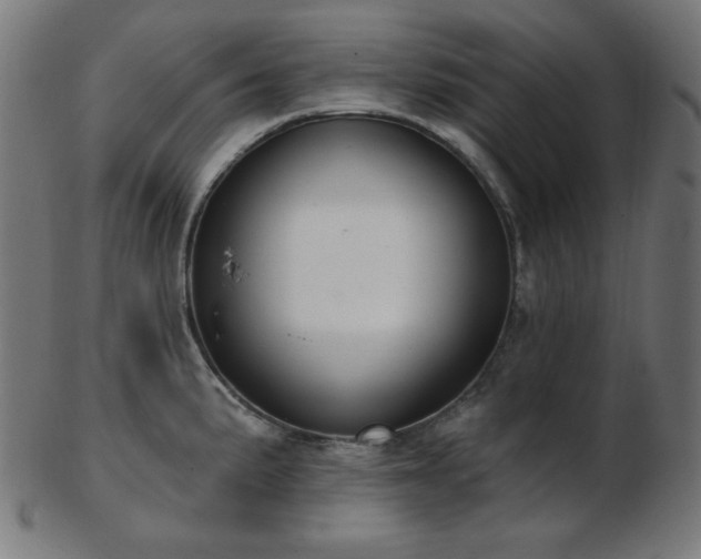 X0000103461191200809121556