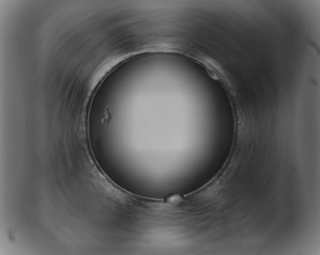 X0000103461192200809121556