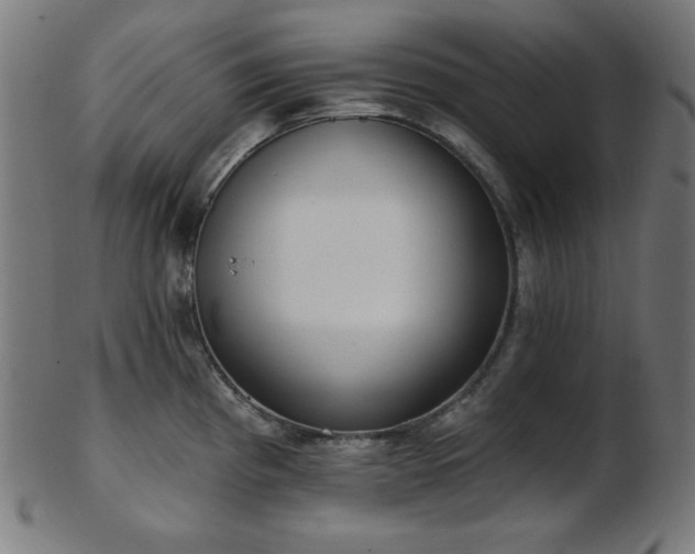 X0000103461193200809121556