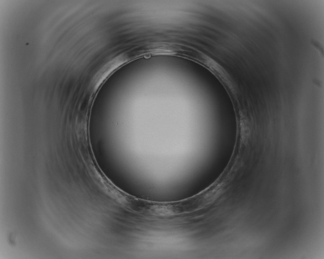 X0000103461194200809121556
