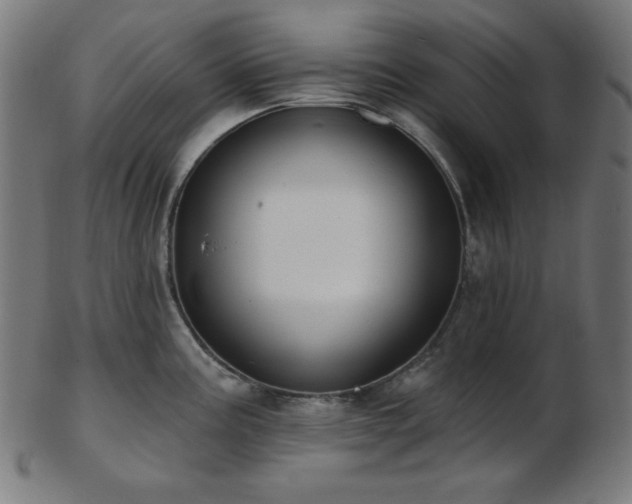 X0000103461195200809121556
