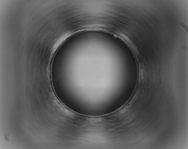 X0000103461196200809121556