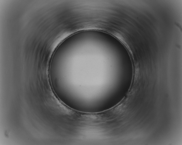 X0000103461197200809121556