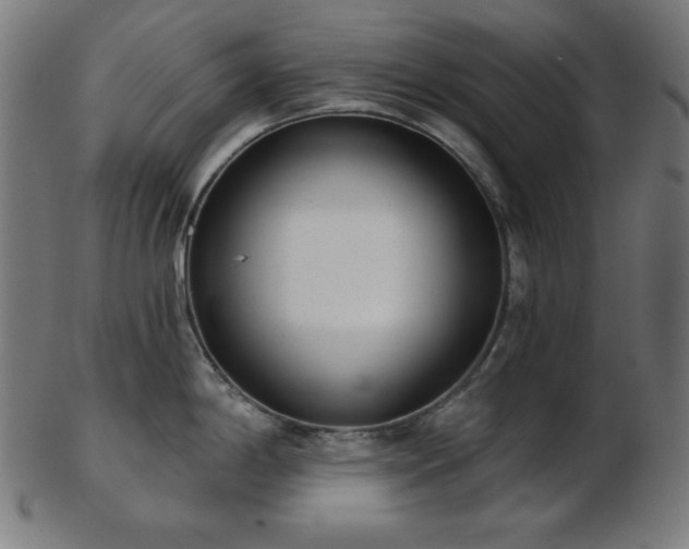 X0000103461198200809121556